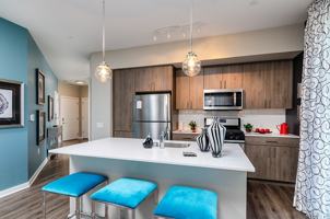 featured image of 2100 Haddonfield Rd #3306