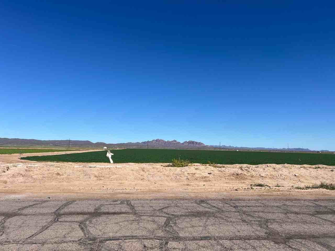 Bakersfield Property - Photo 2 of 11