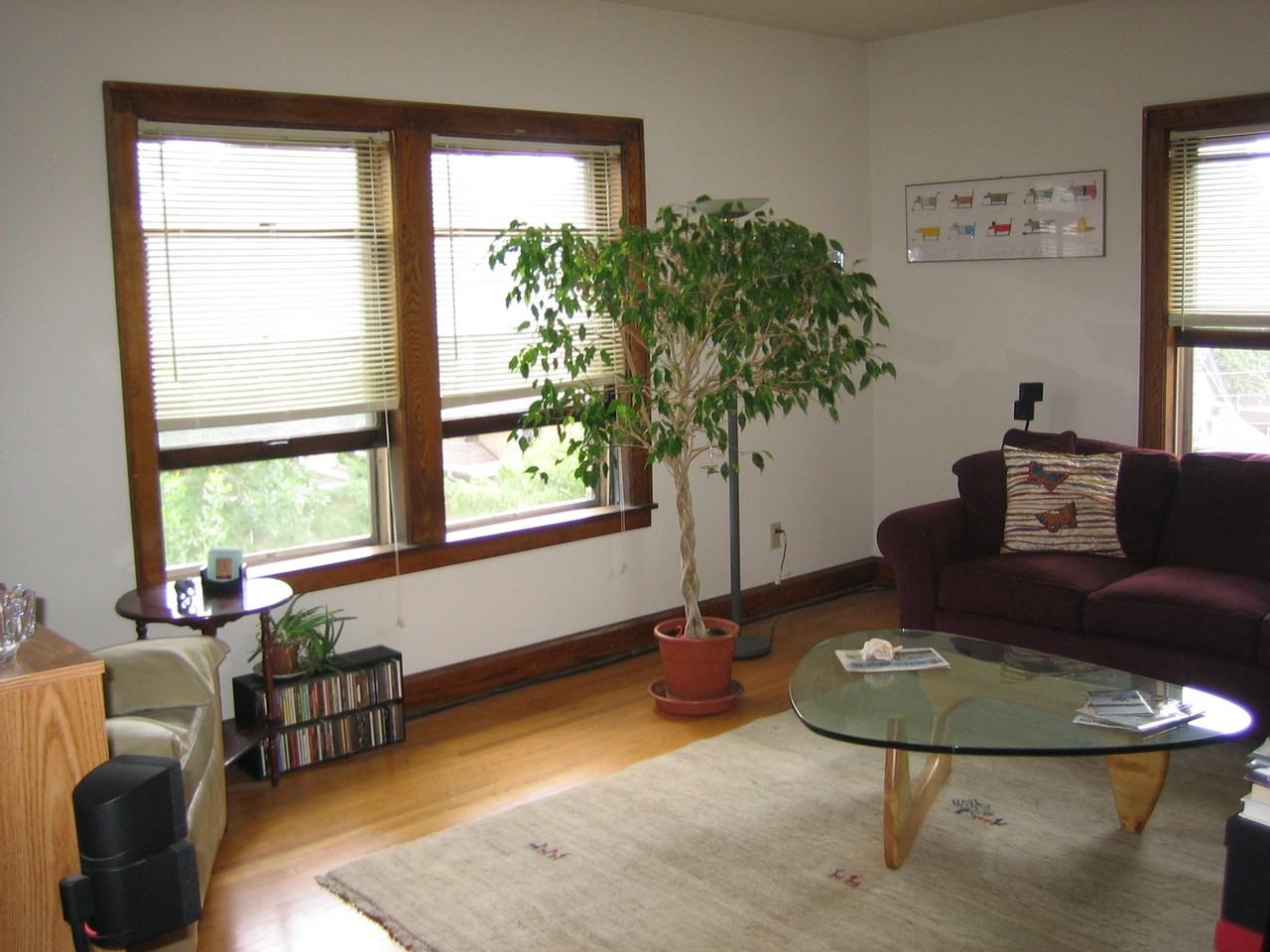 908 Grand Avenue - Photo 2 of 13