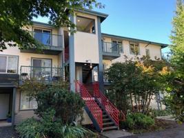 featured image of 10110 Mountain Loop Hwy