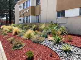 featured image of 3919 Rosemead Blvd