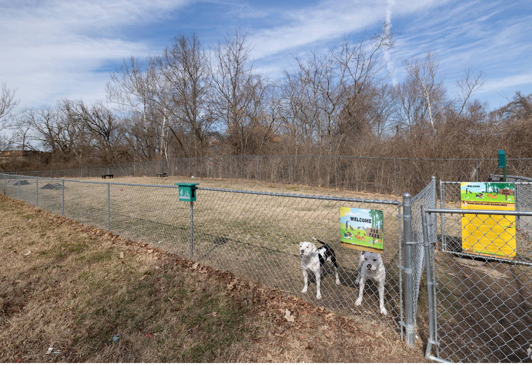 Renewal Heights - Photo 3 of 4