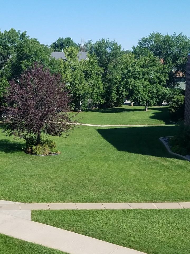 Robbinsdale Heights 1 - Photo 5 of 5