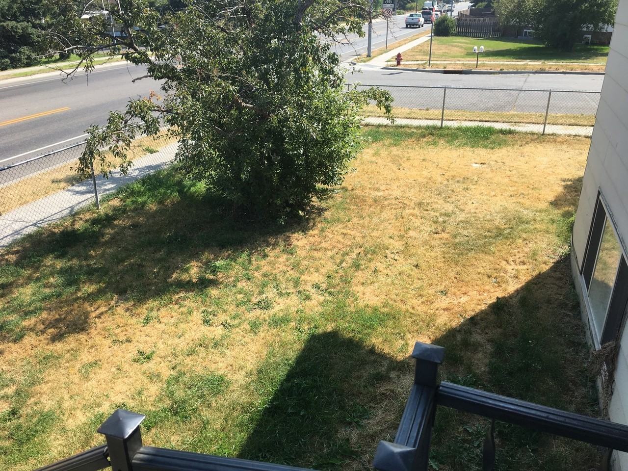 1604 Durston Rd - Photo 7 of 24