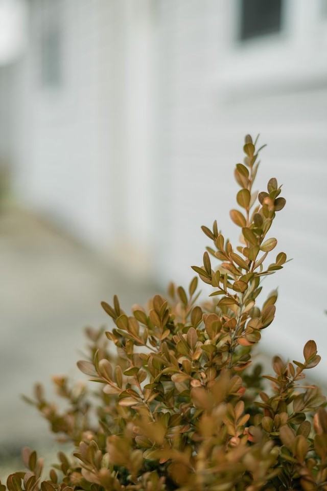 12811 Whitcomb St - Photo 2 of 28