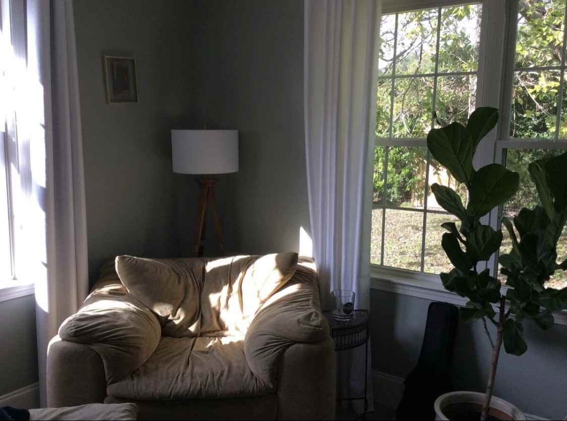 5017 Pine St #NA - Photo 7 of 19