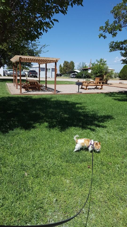 840 Fort Ave-39 #39 - Photo 6 of 11