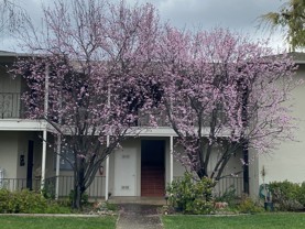 Kent 48 - Photo 1 of 1