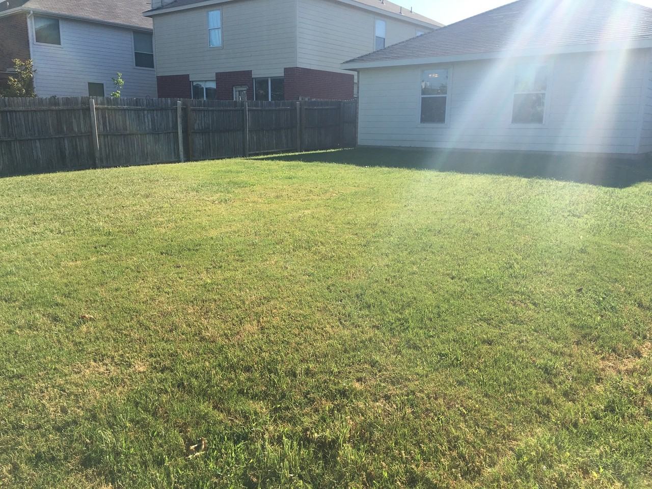 11405 Gloriosa Dr - Photo 4 of 26