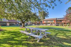 Oak Grove Village Apartments - Photo 1 of 1