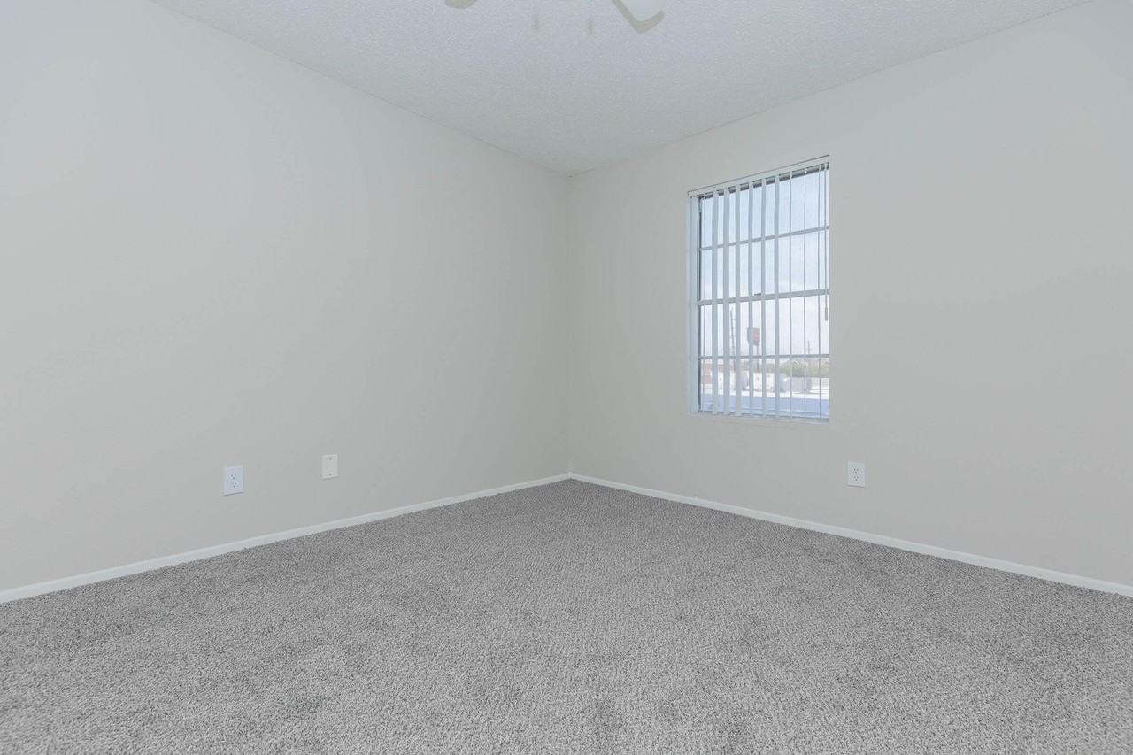 Madison at Bear Creek Apartments - Photo 5 of 31