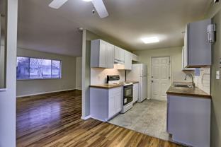 1137 Timber Ln - Photo 1 of 1