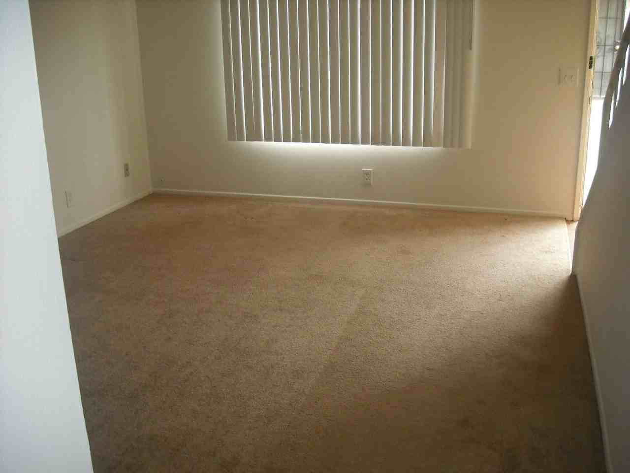 1410 Friedrich Ln Apt B - Photo 7 of 12