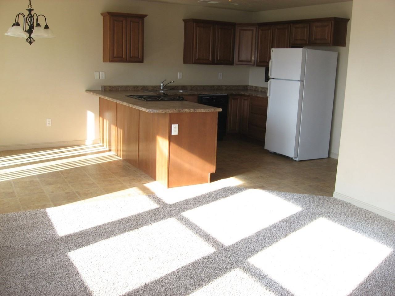 1883 W Gemini Meadows Ln - Photo 2 of 18