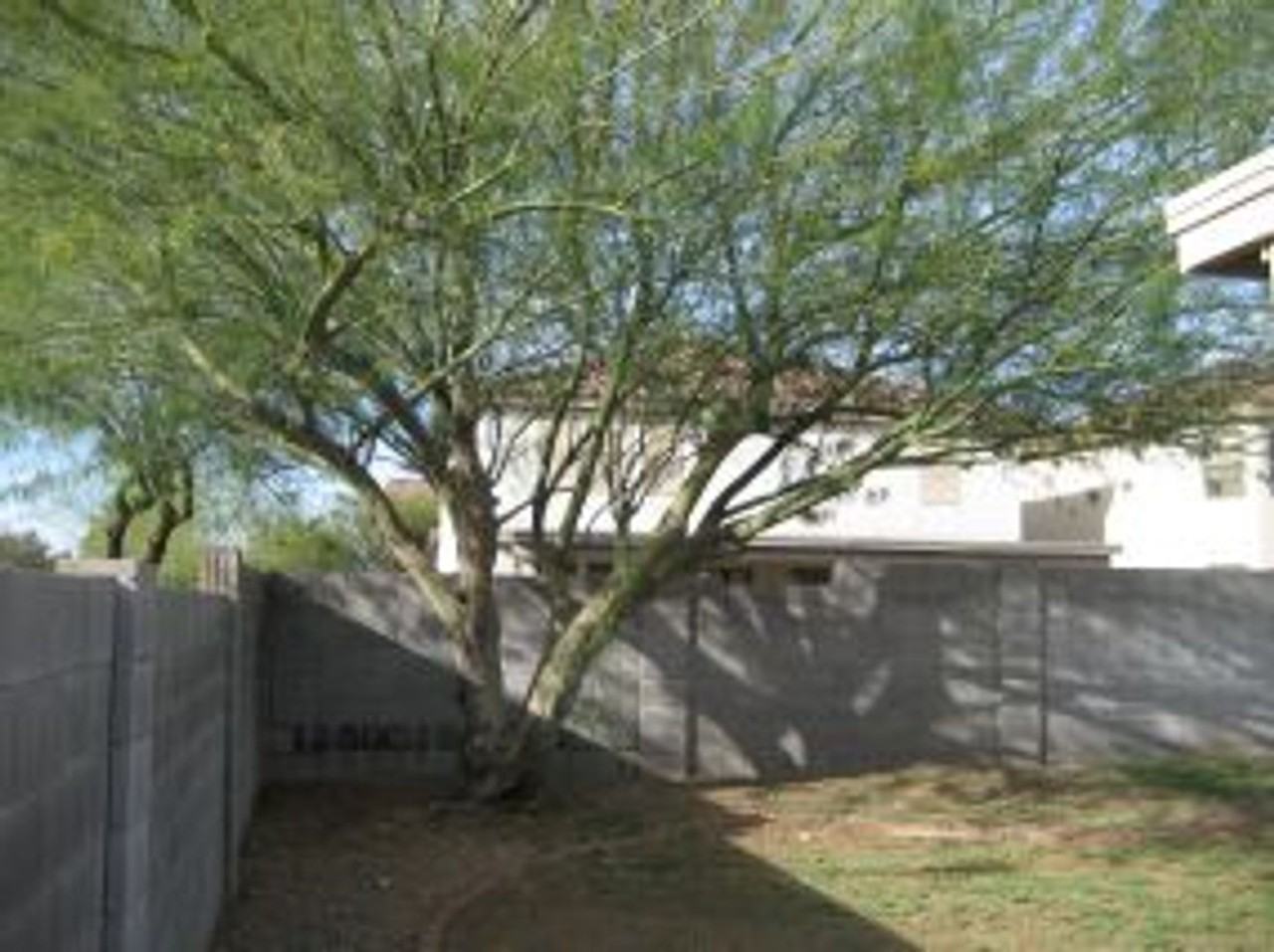3232 W Cavedale Dr - Photo 6 of 6
