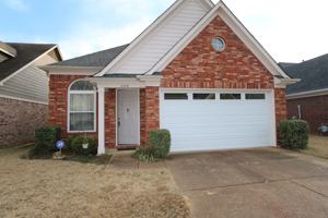 featured image of 8579 Napoli Dr
