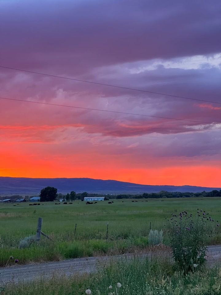 3804 Spruce Rd - Photo 3 of 29