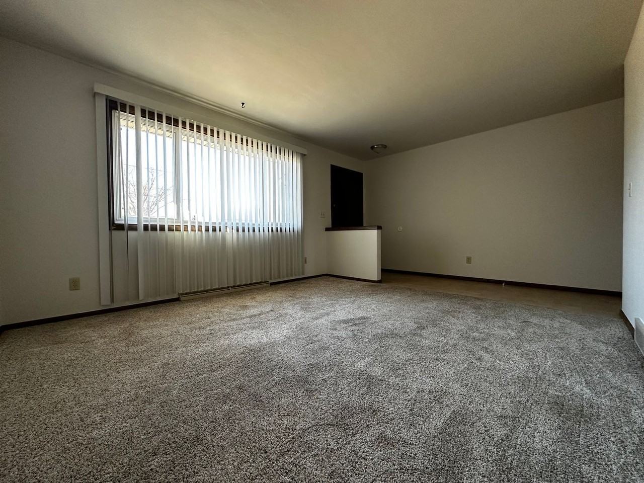 1129 Melissa St - Photo 3 of 33