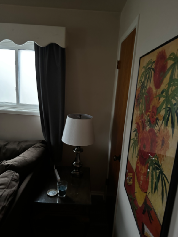 2168 Meadowlawn Dr - Photo 3 of 14