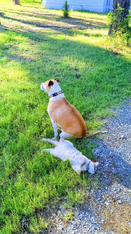 172 Green Valley Dr - Photo 2 of 9