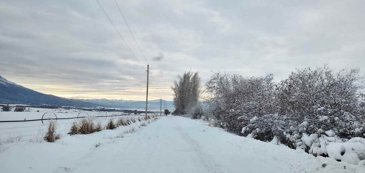 53780 Schock Ln - Photo 2 of 28