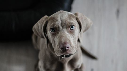 Carleton Management Services, LLC 4 of 4