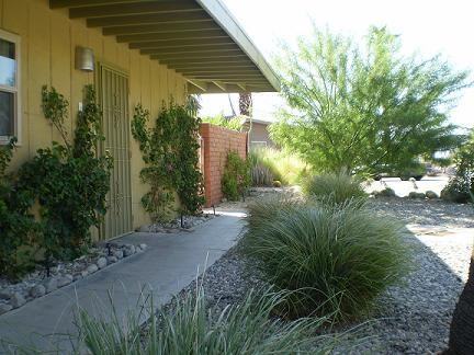 Junipero RUBS - Photo 3 of 21