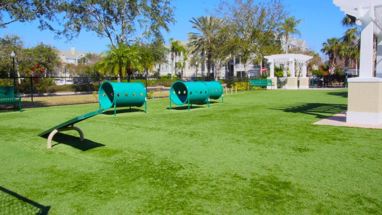 11852 Dr Martin Luther King Jr St N #1 - Photo 5 of 18