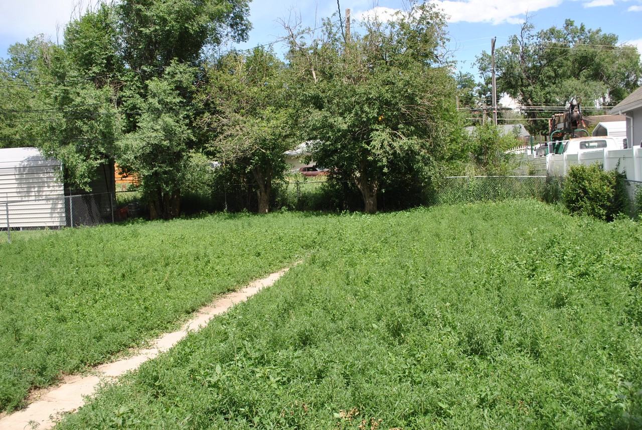 1421 Mcarthur Ave #1 - Photo 2 of 12