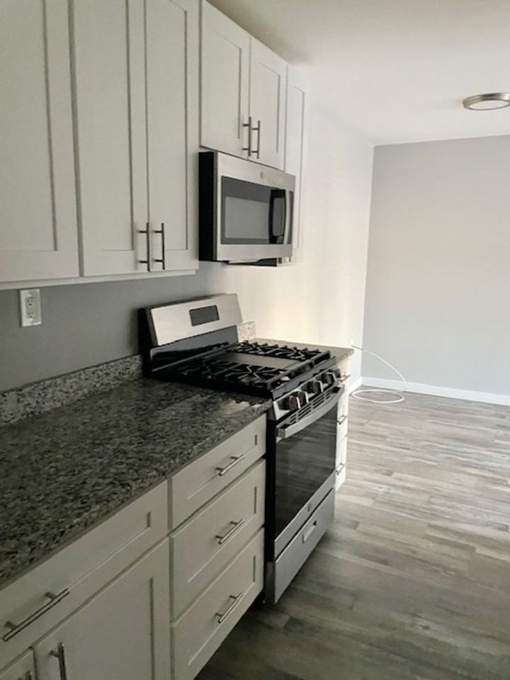 Fully Renovated Modern Apartments - Photo 7 of 47