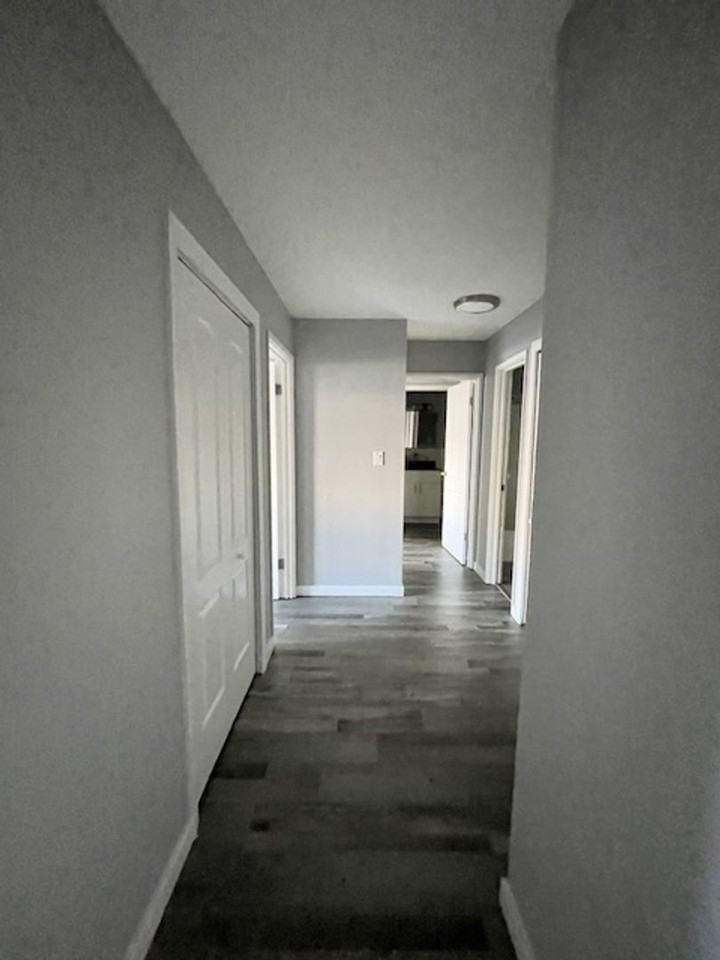 Fully Renovated Modern Apartments - Photo 6 of 26
