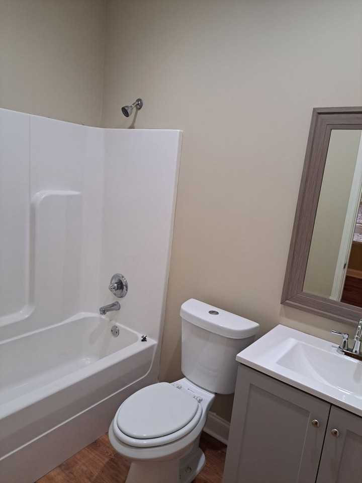 411 Shady Park Cv - Photo 7 of 14