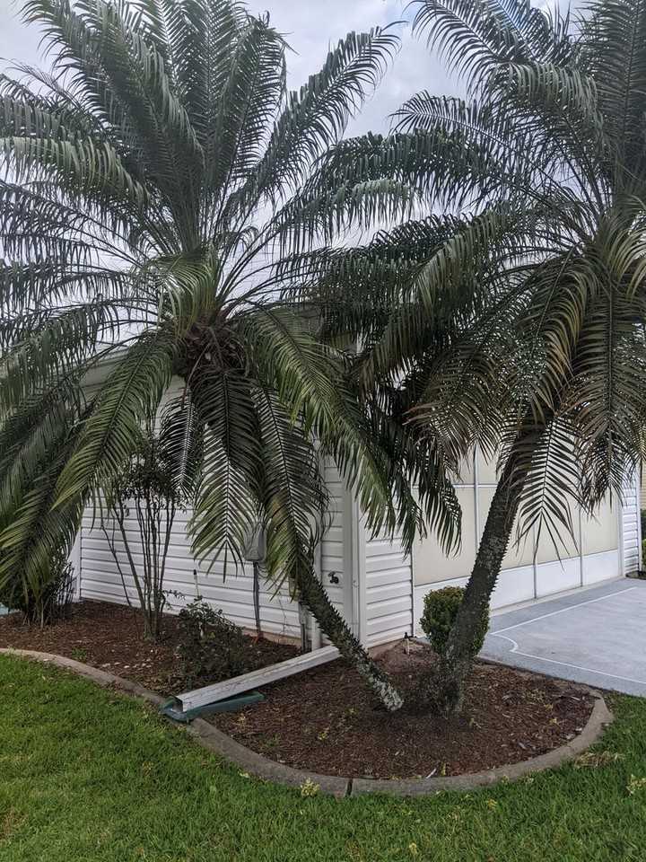 26600 Evert St - Photo 2 of 12