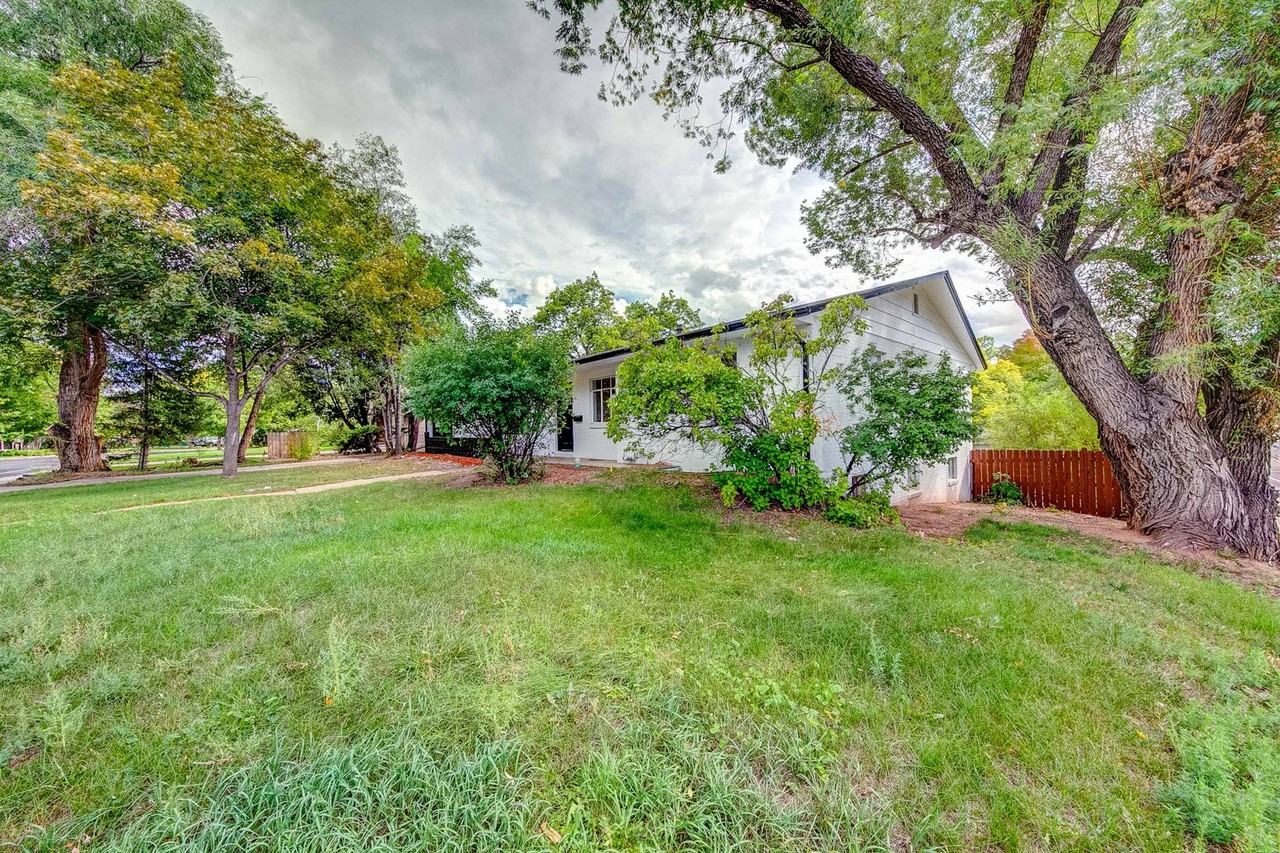 Evergreen2017 (MBS) - Photo 2 of 44