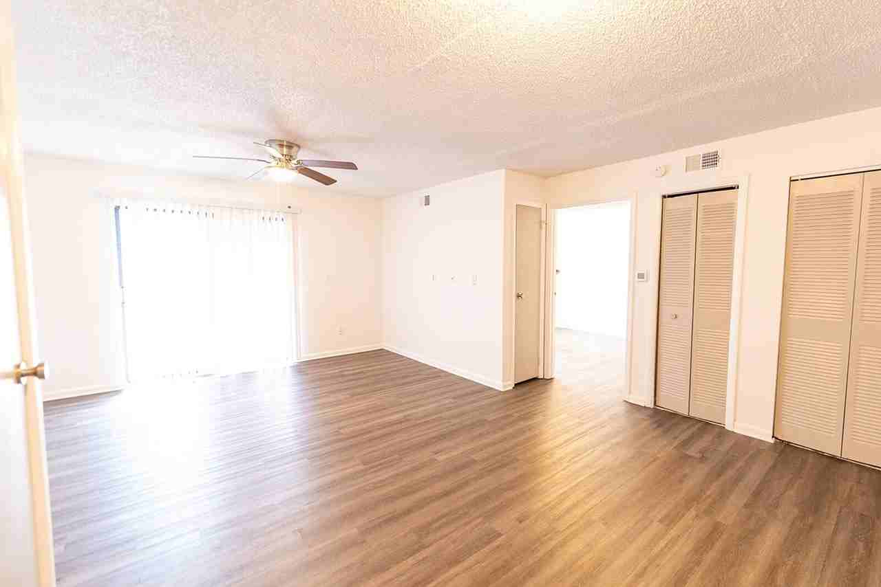 Pacolet - Photo 7 of 50