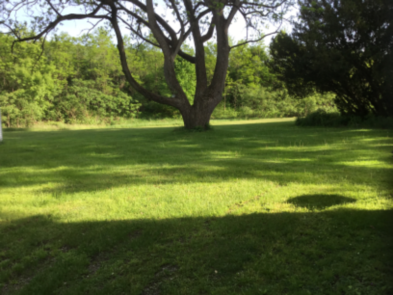 1107 Pennsylvania Ave/ Ground Floor - Photo 2 of 10