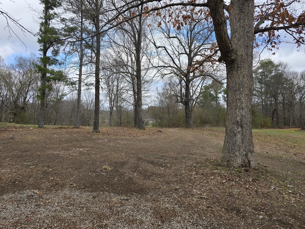 4594 Chestnut Ridge Rd #1 - Photo 2 of 15