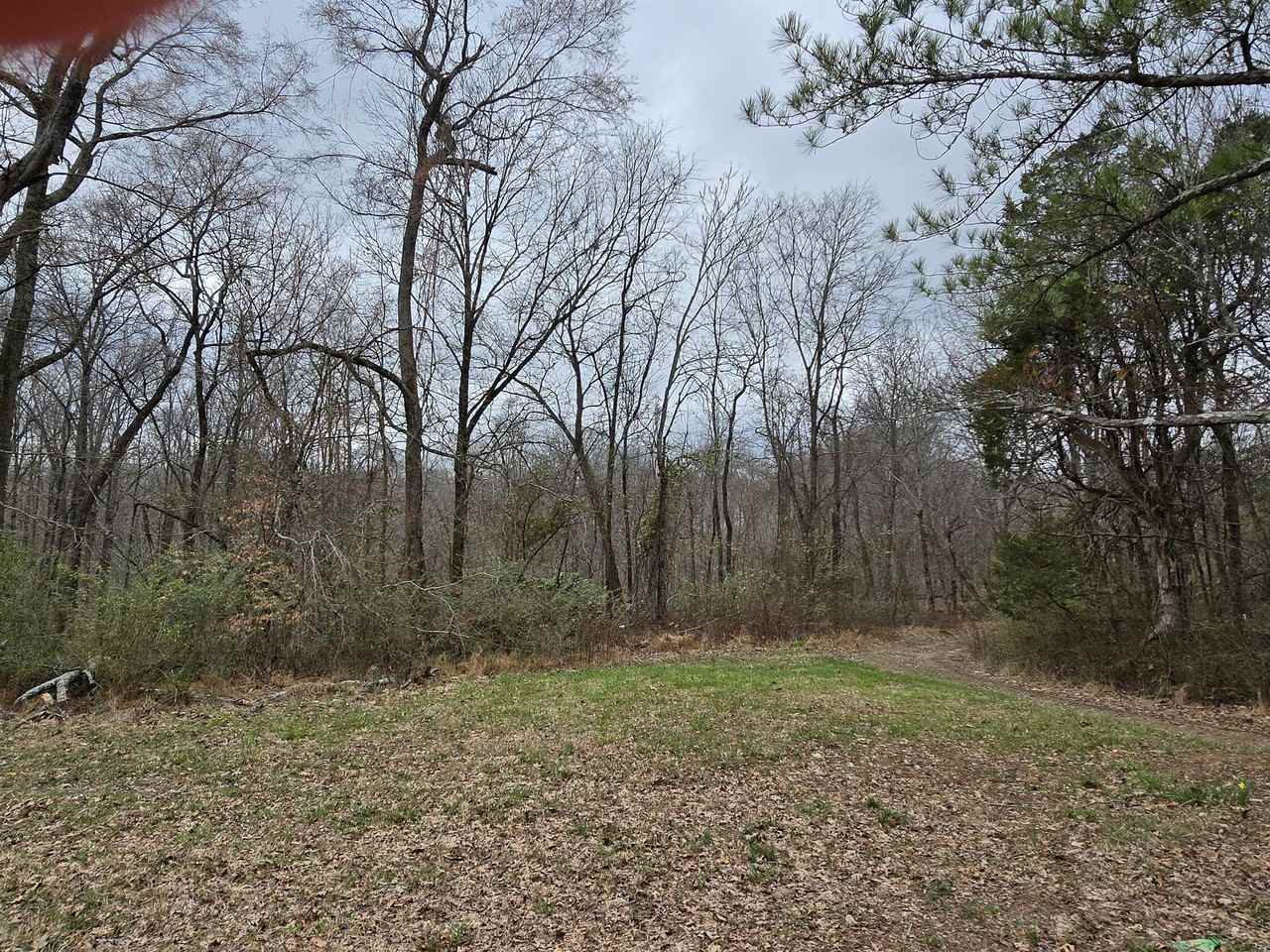 4594 Chestnut Ridge Rd #1 - Photo 3 of 15