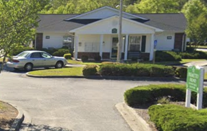 Palmetto Frond - Photo 4 of 8