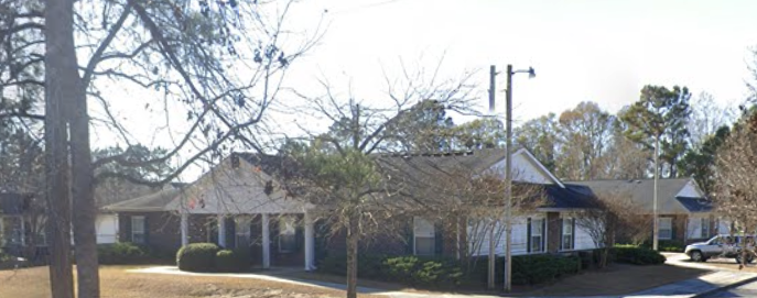 Palmetto Frond - Photo 5 of 8