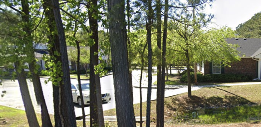 Palmetto Frond - Photo 6 of 8