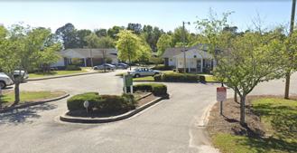 Palmetto Frond - Photo 1 of 1