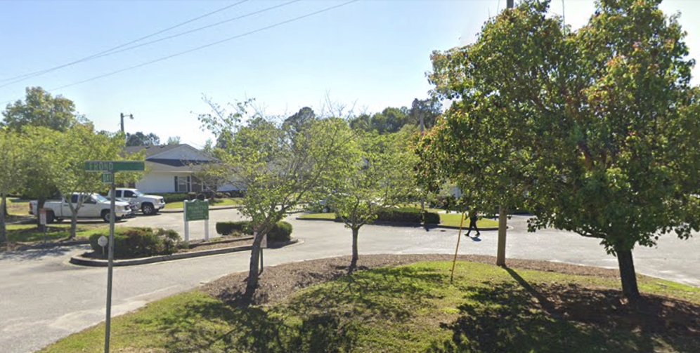 Palmetto Frond - Photo 7 of 8