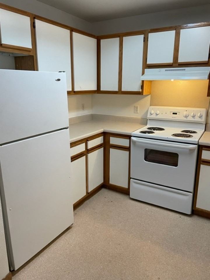 The Lindens - Photo 3 of 7