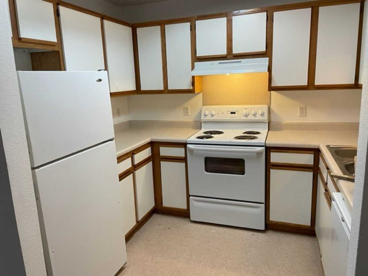 The Lindens - Photo 4 of 7