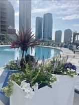 21 Christopher Columbus Dr #2-1 - Photo 1 of 1