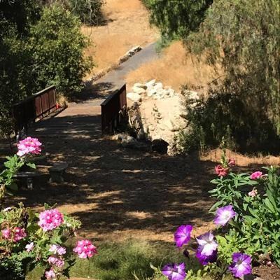 14519 Rios Canyon Rd #C - Photo 4 of 28