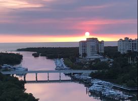 featured image of 430 Cove Tower Dr #1202