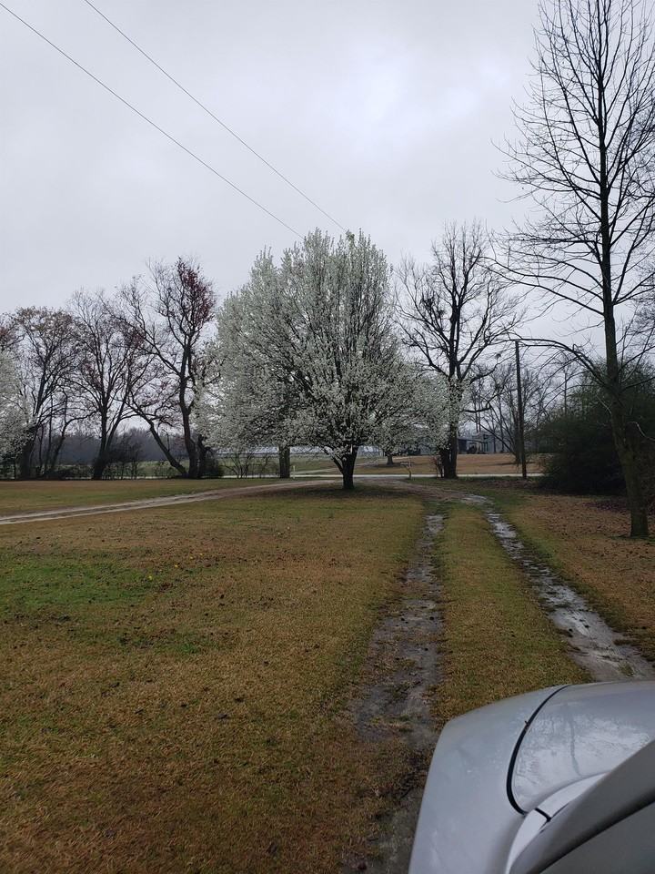 2422 Autryville Rd - Photo 3 of 17