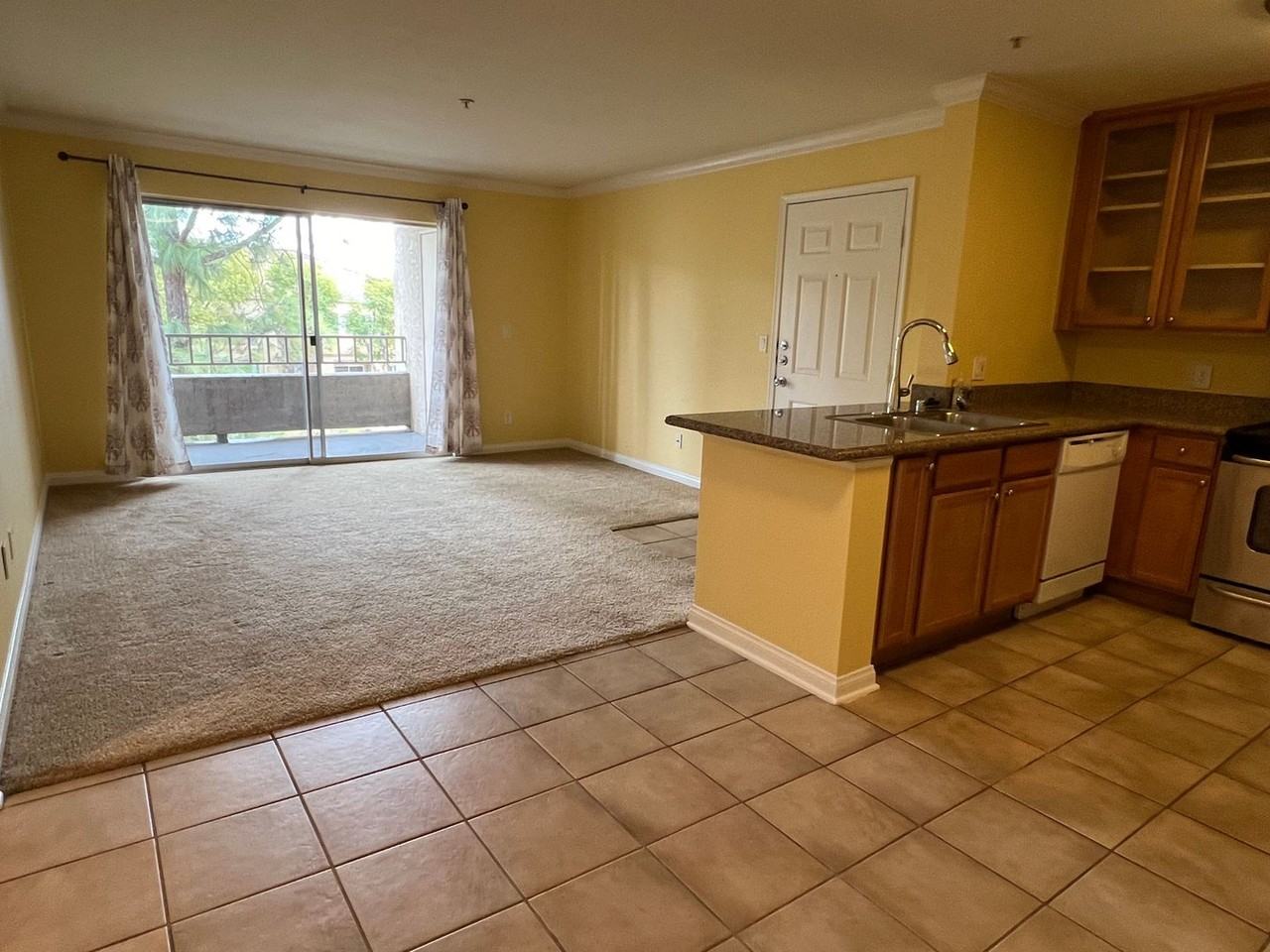 1023 Vista Del Cerro Dr #203 - Photo 6 of 17